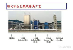 中科院王东升团队 热水解厌氧污泥新型调理技术的开发及工程应用