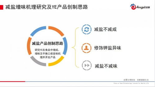 2021第五届肉类加工与新产品开发技术研讨会在郑州召开，开启肉类产业新未来