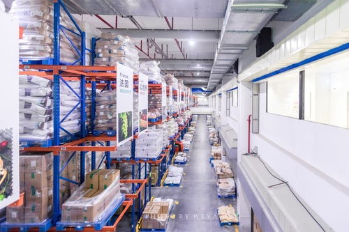 面面旅拍 探索奇妙科技工厂，坐拥海洋度假天堂——珠海尽情玩乐放纵一夏